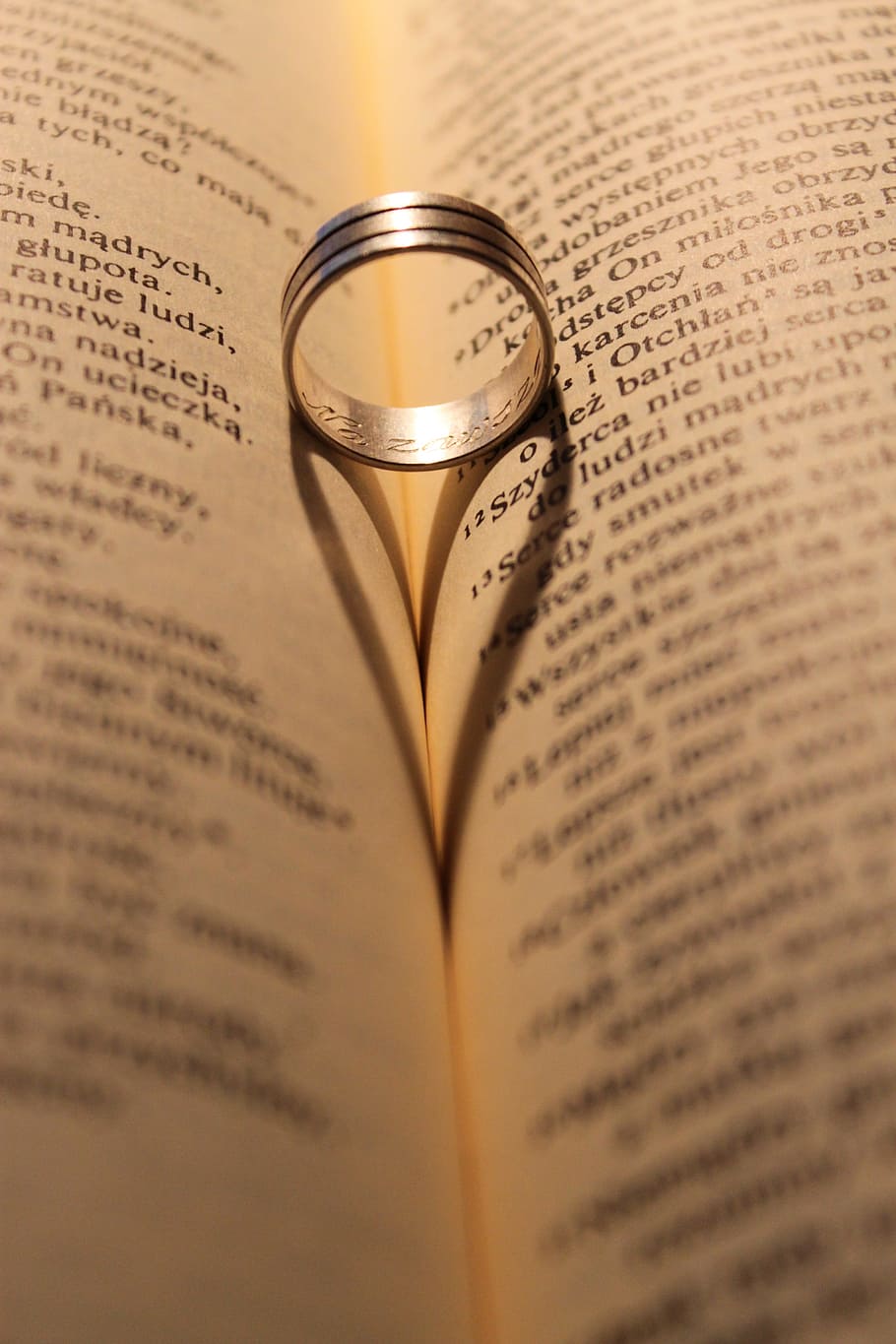 selective focus silver-colored ring, love, wedding, celebration HD wallpaper