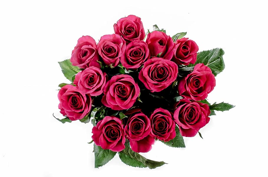 red rose bouquet illustration, flower, flowers, love, decoration, HD wallpaper