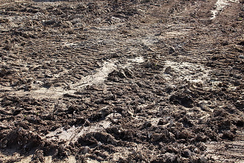 mud, land, ground, brown, track, tractor, dirt, farm, earth HD wallpaper
