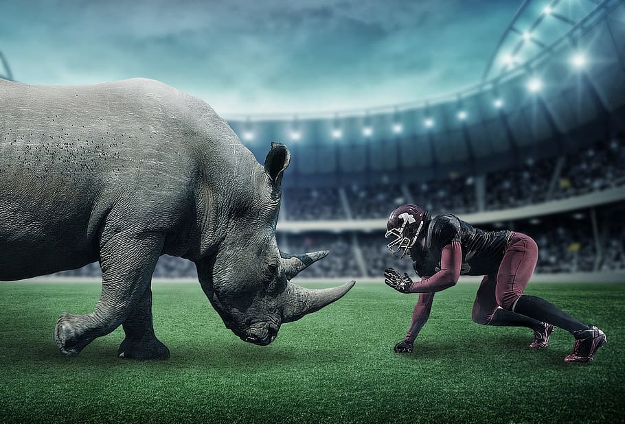 NFL player facing gray rhinoceros in stadium, american football