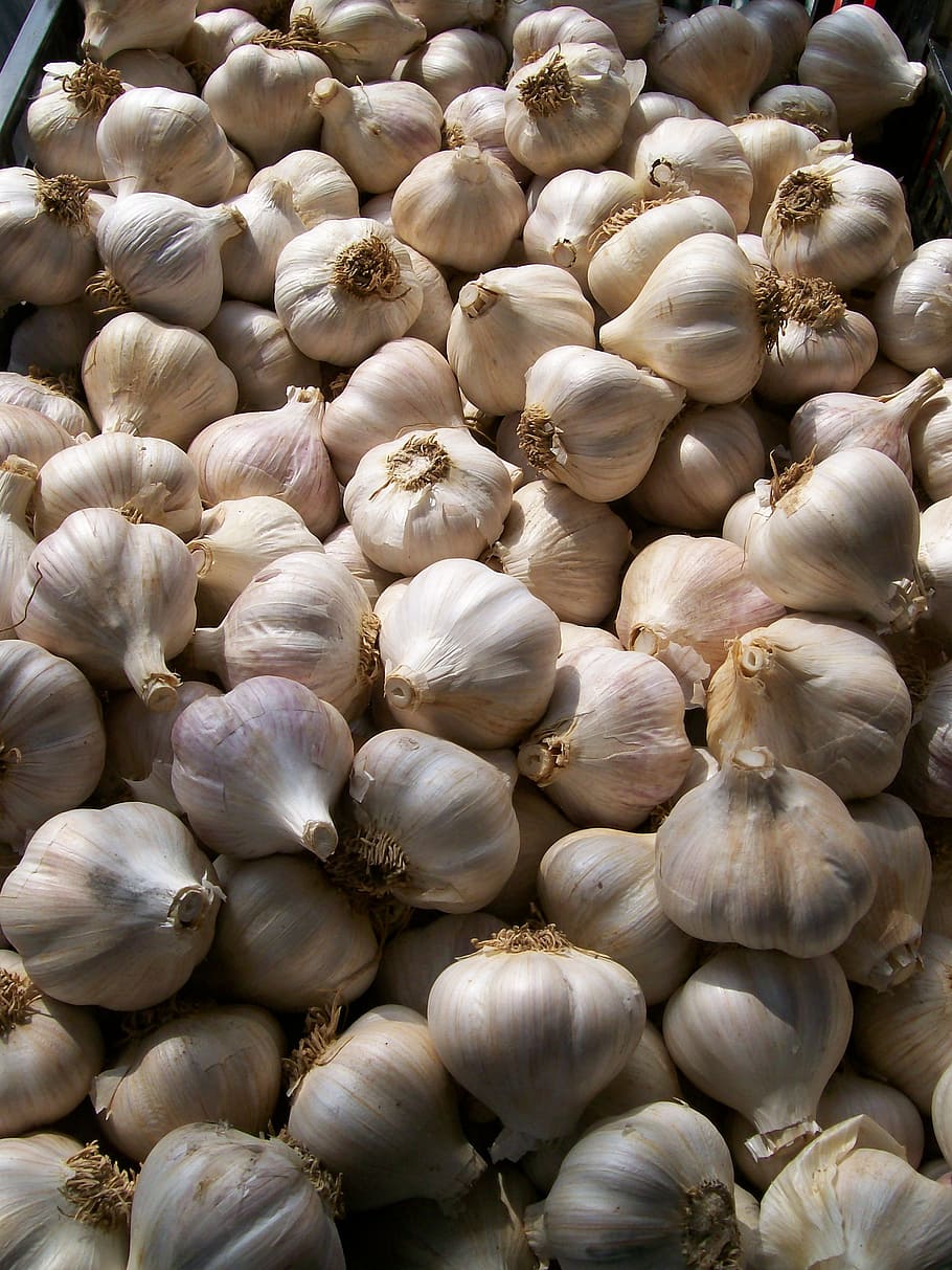 garlic basket, farmer's market, fresh, agriculture, food, ingredient, HD wallpaper
