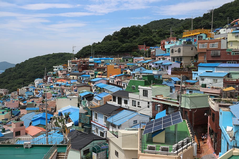 korea, busan, gamcheon-dong culture village, painted mural village