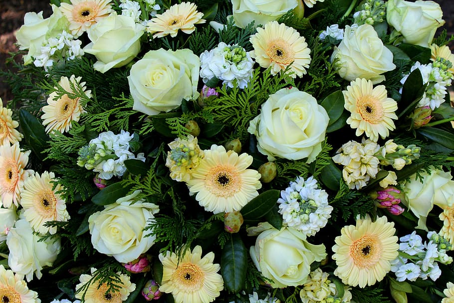 White, Flowers, Roses, Shooting Club, düsseldorf, nature, bouquet, HD wallpaper