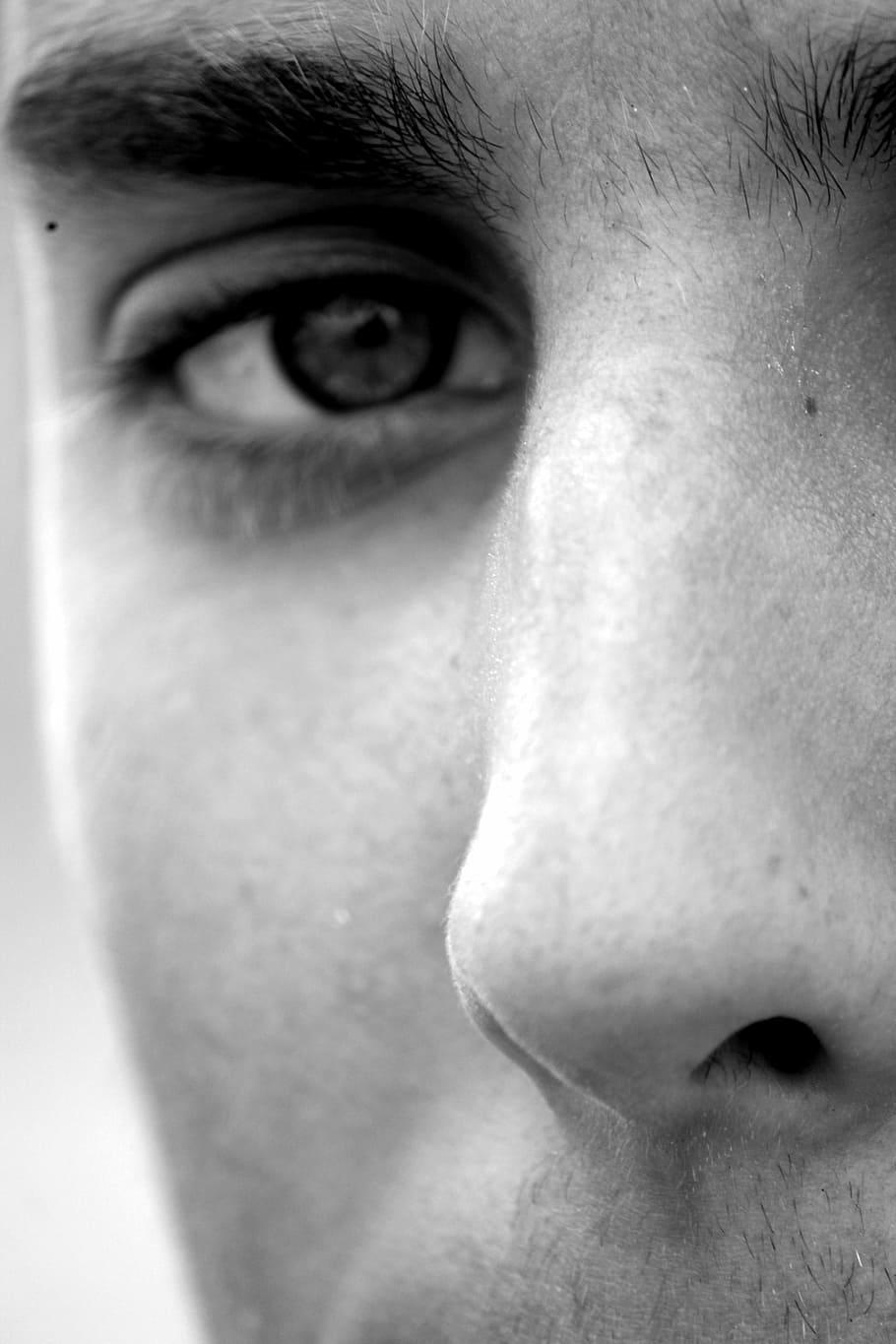 grayscale photo of man, eye, nose, eyebrows, guy, face, beard HD wallpaper