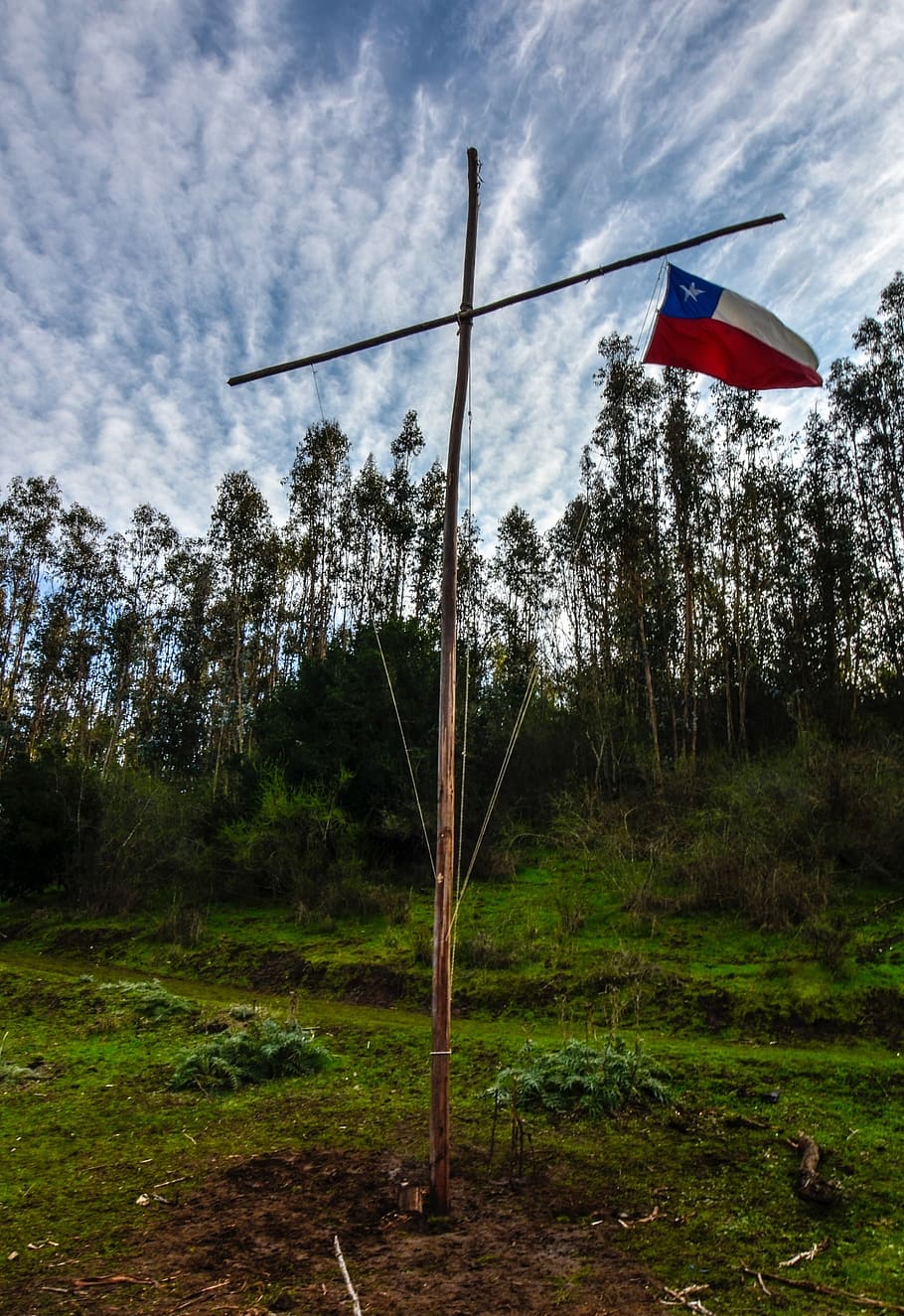 scouts, cruz, sky, tree, plant, land, nature, no people, cloud - sky HD wallpaper