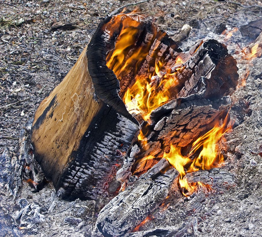 log fire, burn, fireplace, firewood, burning, flaming, campfire HD wallpaper