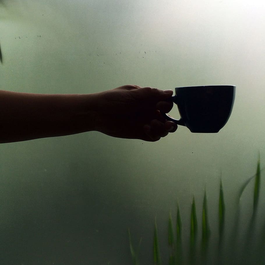 people, hand, cup, mug, human hand, human body part, one person HD wallpaper