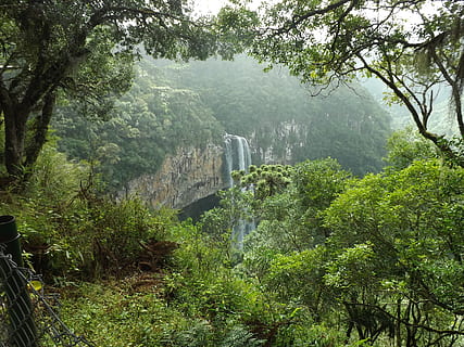 waterfalls surrounded by trees during daytime, forest, green HD wallpaper