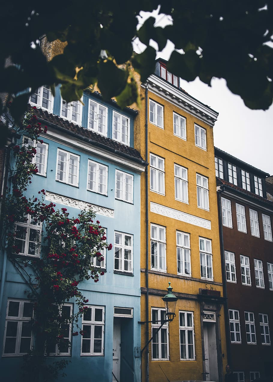 Colorful facades, beige concrete building between blue and brown buildings HD wallpaper