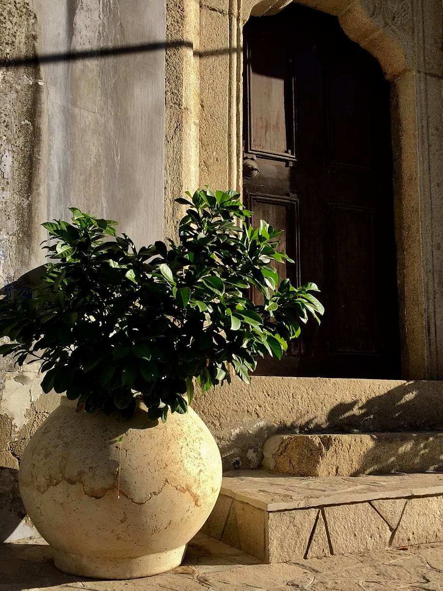 antique, vase, door, plant, architecture, nature, built structure HD wallpaper