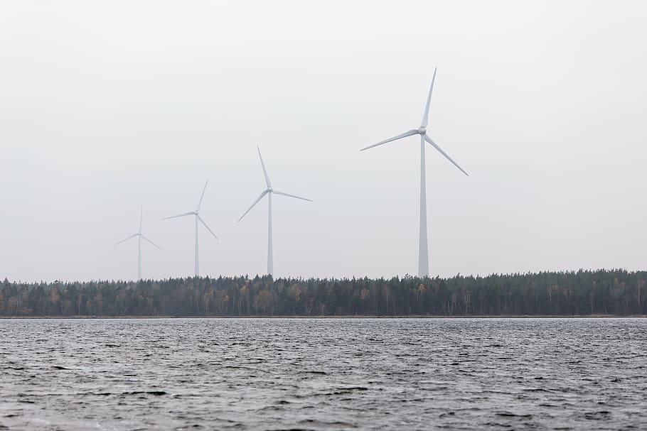 four white wind turbines beside trees across body of water photo HD wallpaper