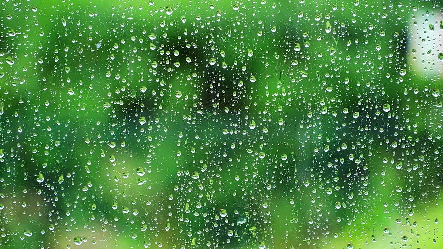 rain droplets, Water, Raindrop, Wet, Nature, Drip, close, weather HD wallpaper
