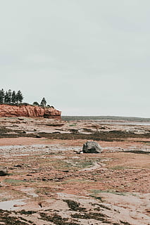 gray rock on rough terrain with view of trees on cliff under gray clouds, grey rock in distant of trees on rock montain HD wallpaper