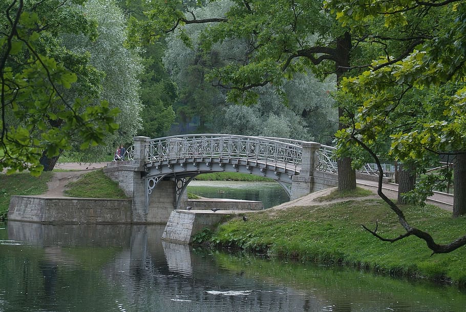 tree, bridge, water, river, nature, gatchina, landscape, lake HD wallpaper