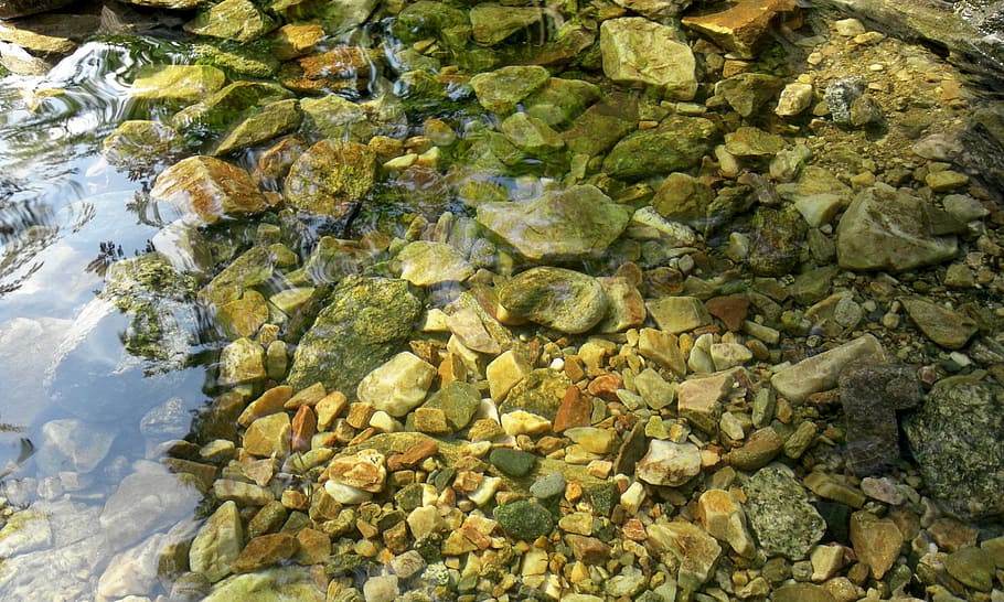 nature, plants, leaf, silage, stone, gravel, streams, water HD wallpaper