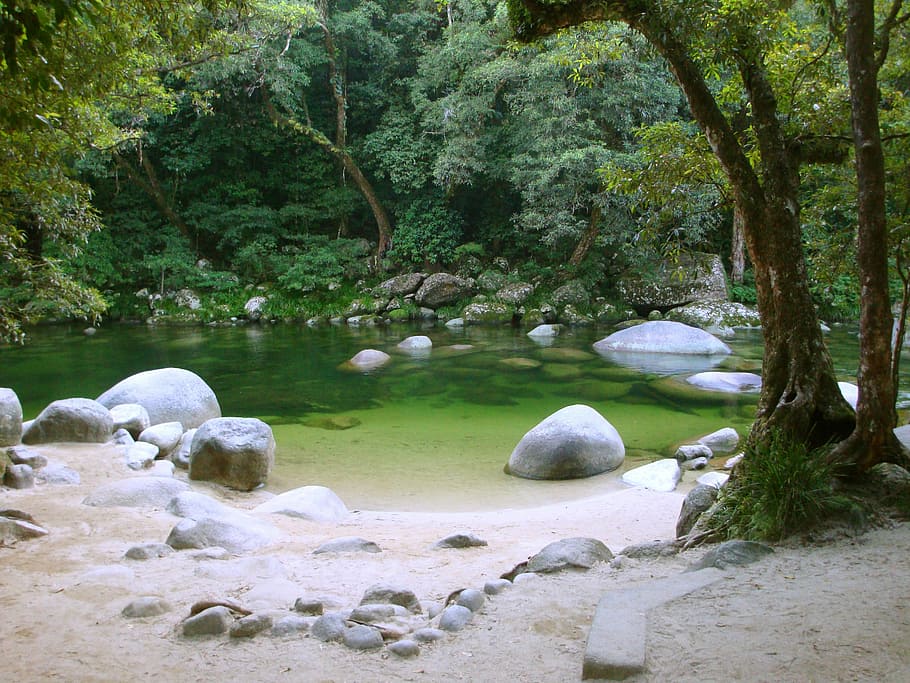 grey boulder in lake near green leaves trees, green river, white sands, HD wallpaper