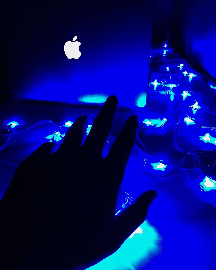hand, palm, laptop, blue, light, dark, silhouette, human hand HD wallpaper