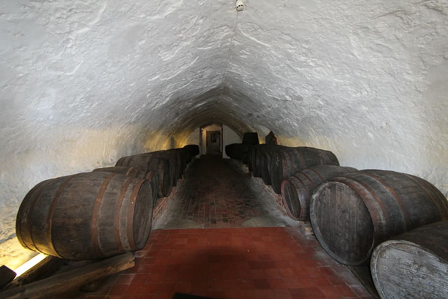 cellar, vault, catacomb, barrels, underground, cylinder, no people HD wallpaper