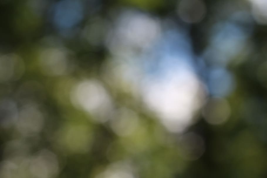white bokeh light, blurry, background image, green, spotted HD wallpaper