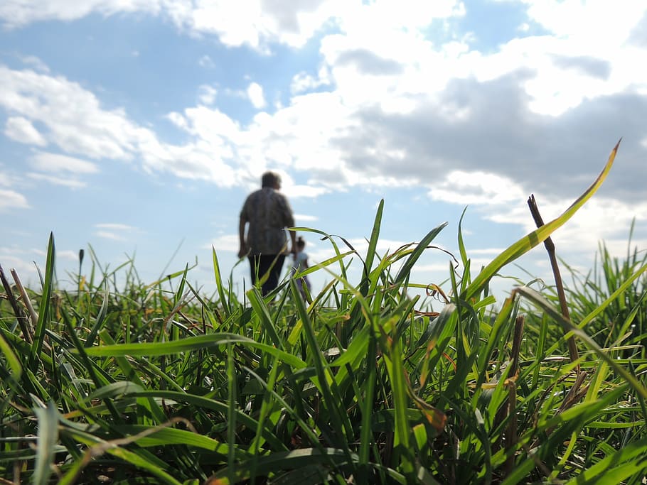 grass, clouds, sky, heaven, summer, meadow, silhouette, people HD wallpaper