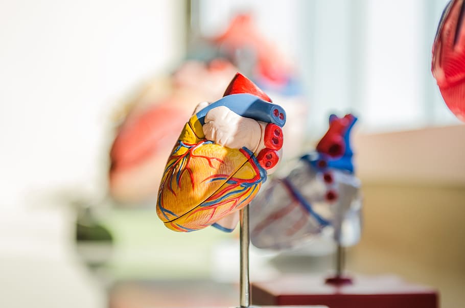 selective focus photography of Heart figure beside other heart figures at daytime