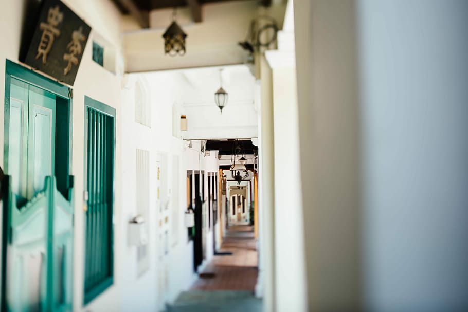 shallow focus photo of hallway, empty hallway, indoor, interior HD wallpaper