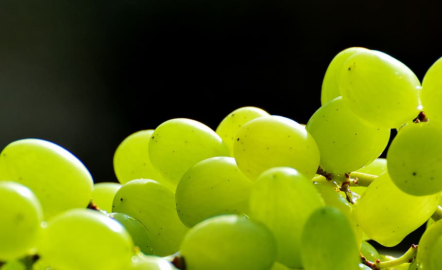 close-up photo of green grapes, fruits, healthy, food, sweet