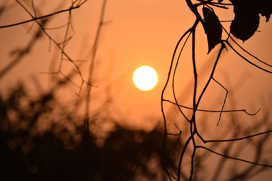 sunset, sunrise, light, summer, nature, sky, sunlight, landscape HD wallpaper