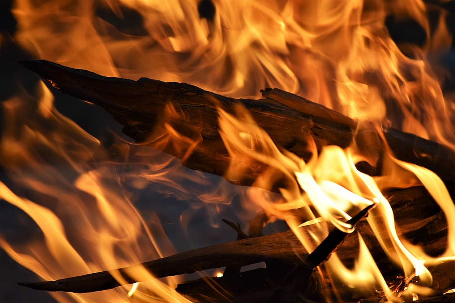 closeup photo of burning branch, flaming wood digital wallpaper HD wallpaper