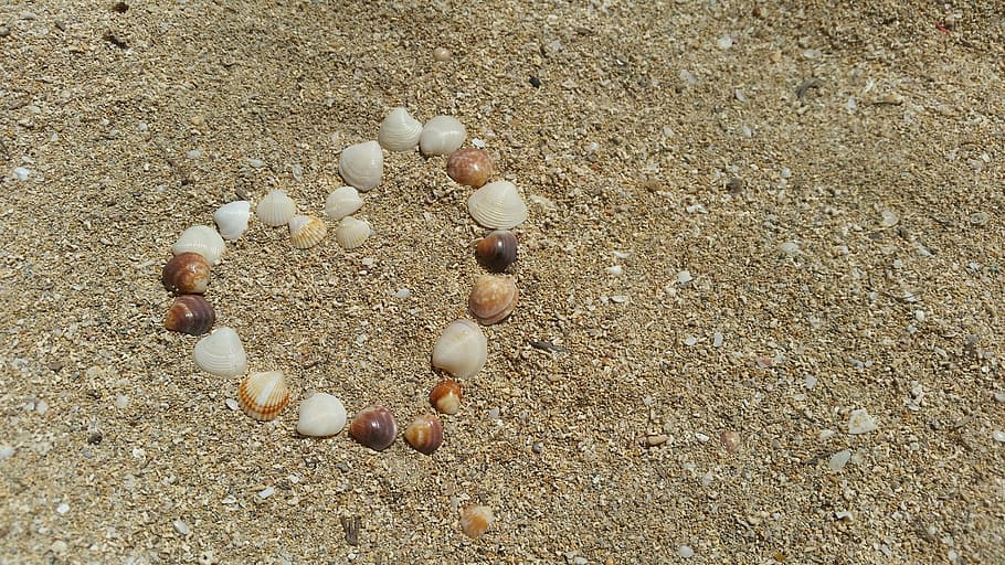 heart-shaped shell artwork in sand, sea, holiday, beach, nature HD wallpaper