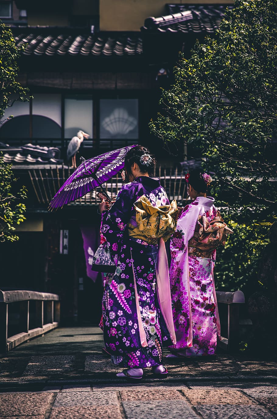 two women in purple and pink kimono, two woman walking on a pathway