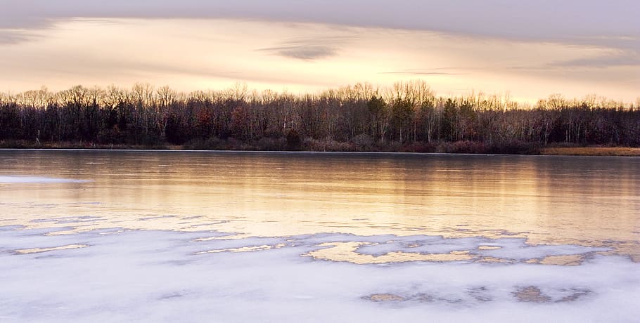 winter, sunset, landscape, forest, park, sunlight, january HD wallpaper