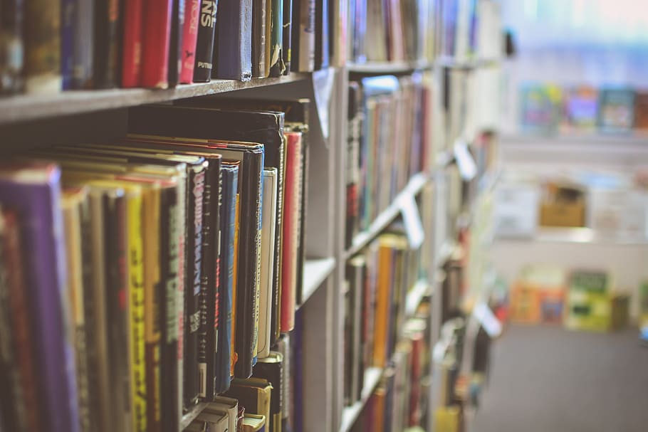 book lot, library, books, reading, school, learning, education HD wallpaper