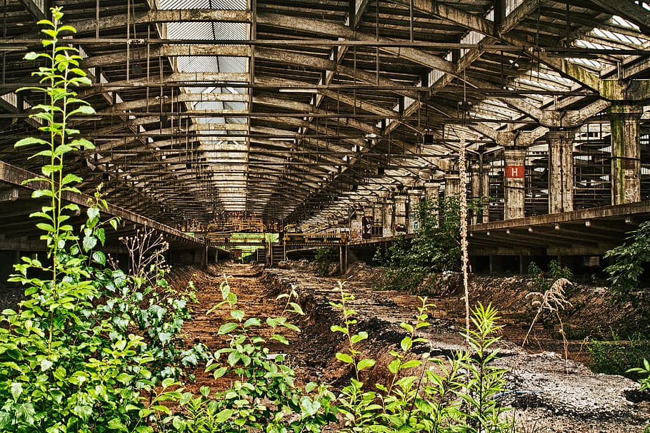 Abandoned greenhouse 1080P, 2K, 4K, 5K HD wallpapers free download ...
