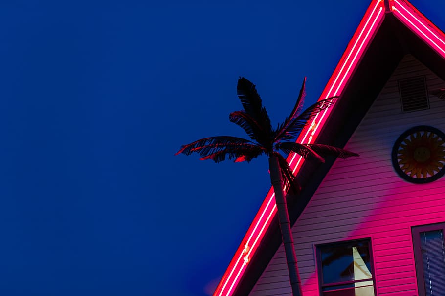 silhouette photo of coconut tree near house under blue sky, palm tree near wooden house, HD wallpaper