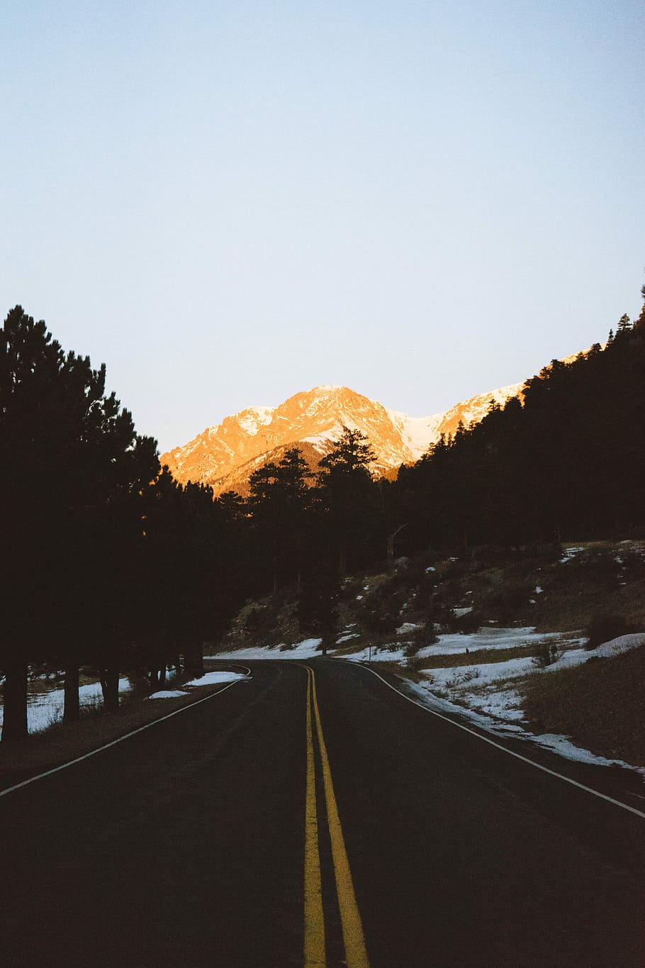 road in between of trees, roadway between trees photo at daytime HD wallpaper