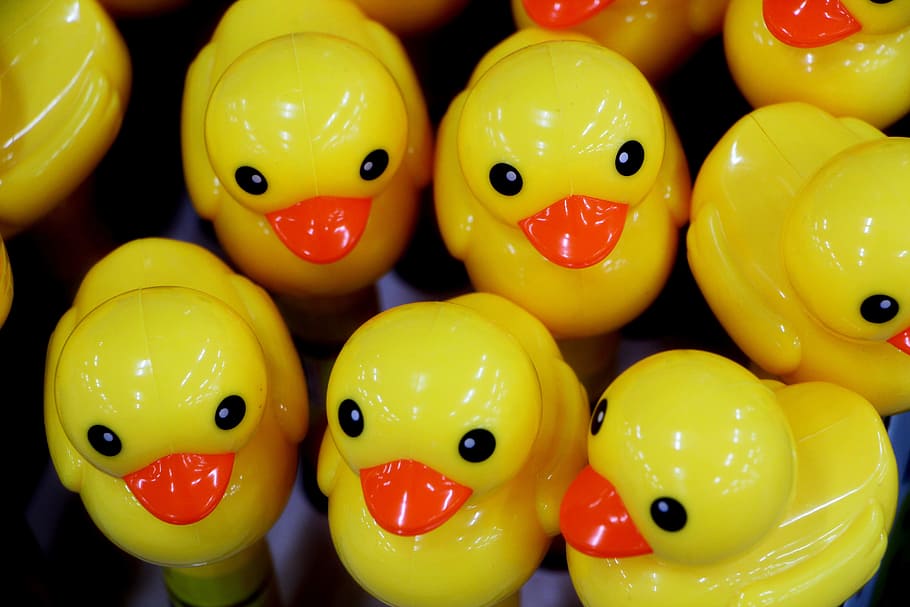 duck, toy, cute, children's, toys, yellow, animal representation, HD wallpaper