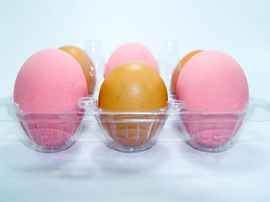 egg, pink, market, eggshell, cholesterol, meal, agriculture HD wallpaper