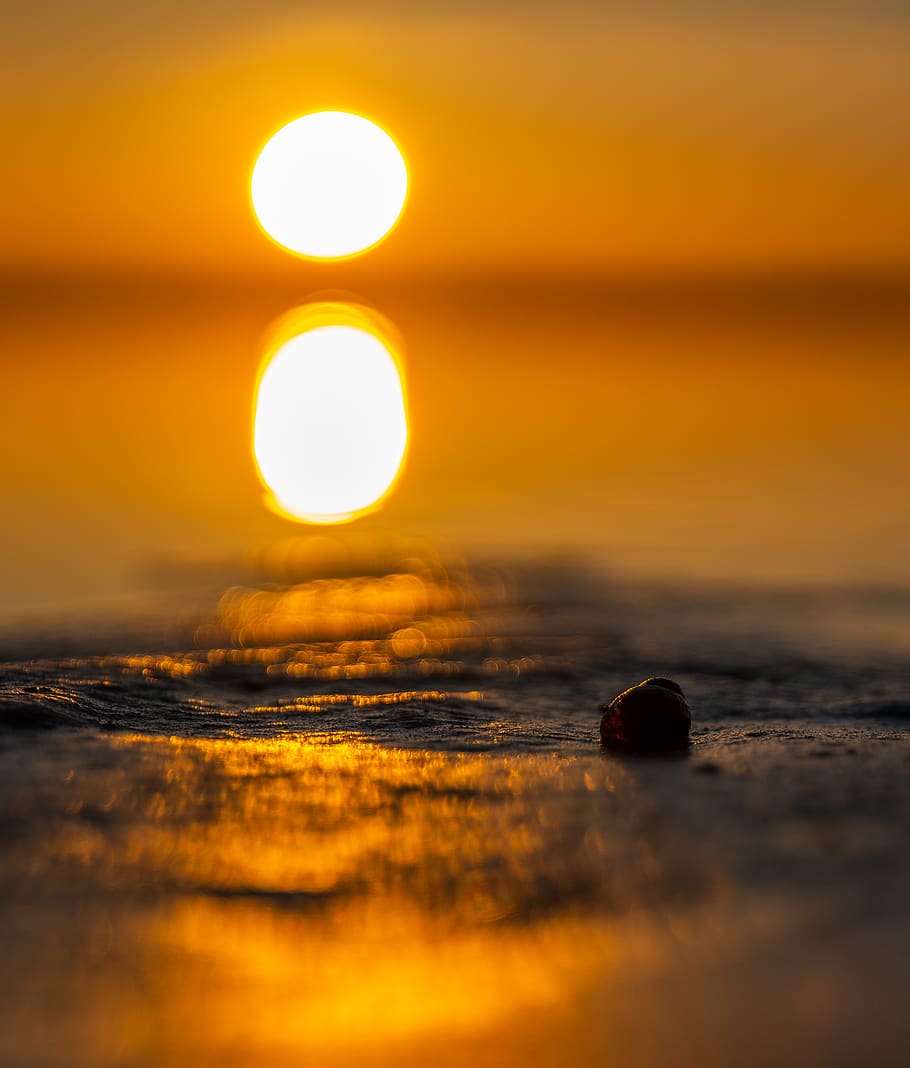 sunset, beach, nature, sky, selective focus, orange color, sunlight HD wallpaper