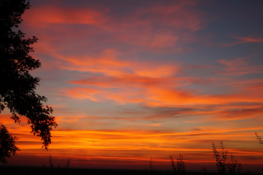 sunset, tree, nature, sky, west, clouds, light, landscape, snow HD wallpaper