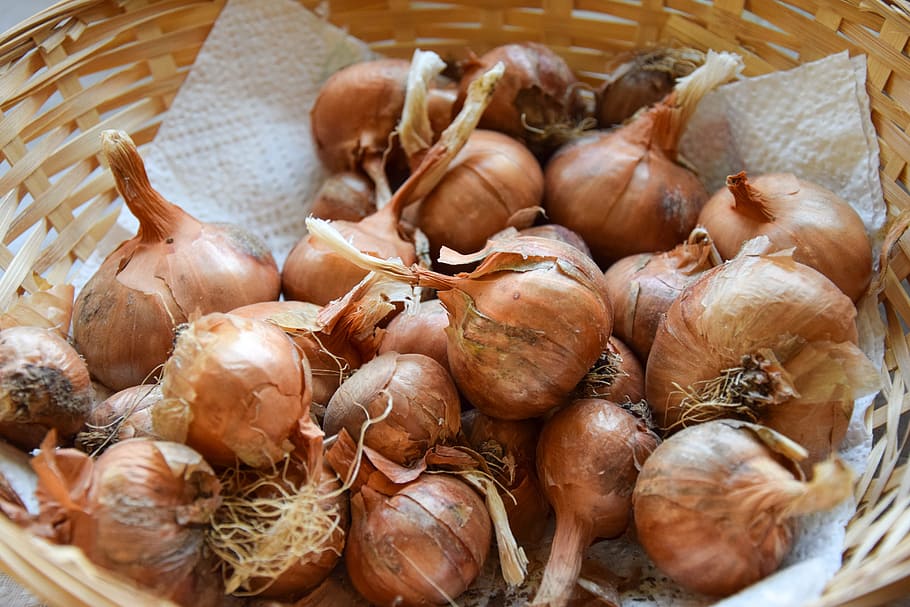 shallots, spices, kitchen, basket, harvest, food, food product, HD wallpaper