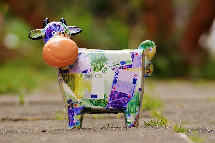 multicolored banknote cow figure, save, money, piggy bank, funny, HD wallpaper