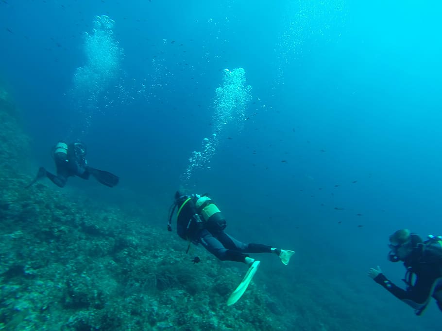 diver, diving, sea, scuba diving, meeting, bottles, marin, submarine, HD wallpaper
