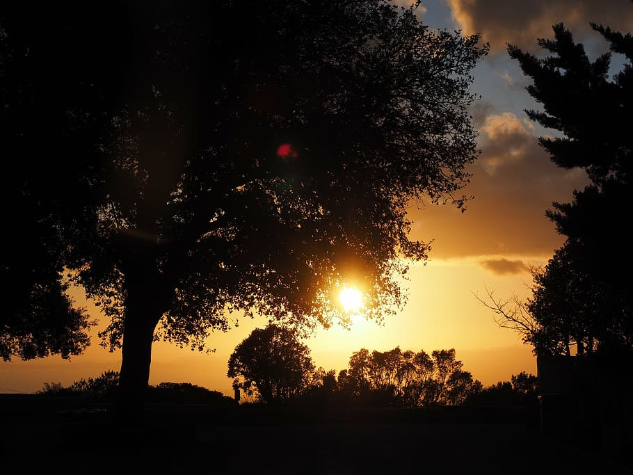 sunset, passage, evening, romantic, romance, clouds, yellow HD wallpaper