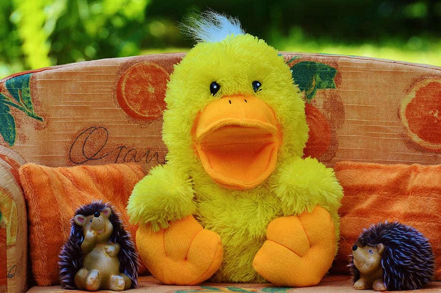 couch, sofa, duck, hedgehog, friends, funny, soft toy, toys HD wallpaper