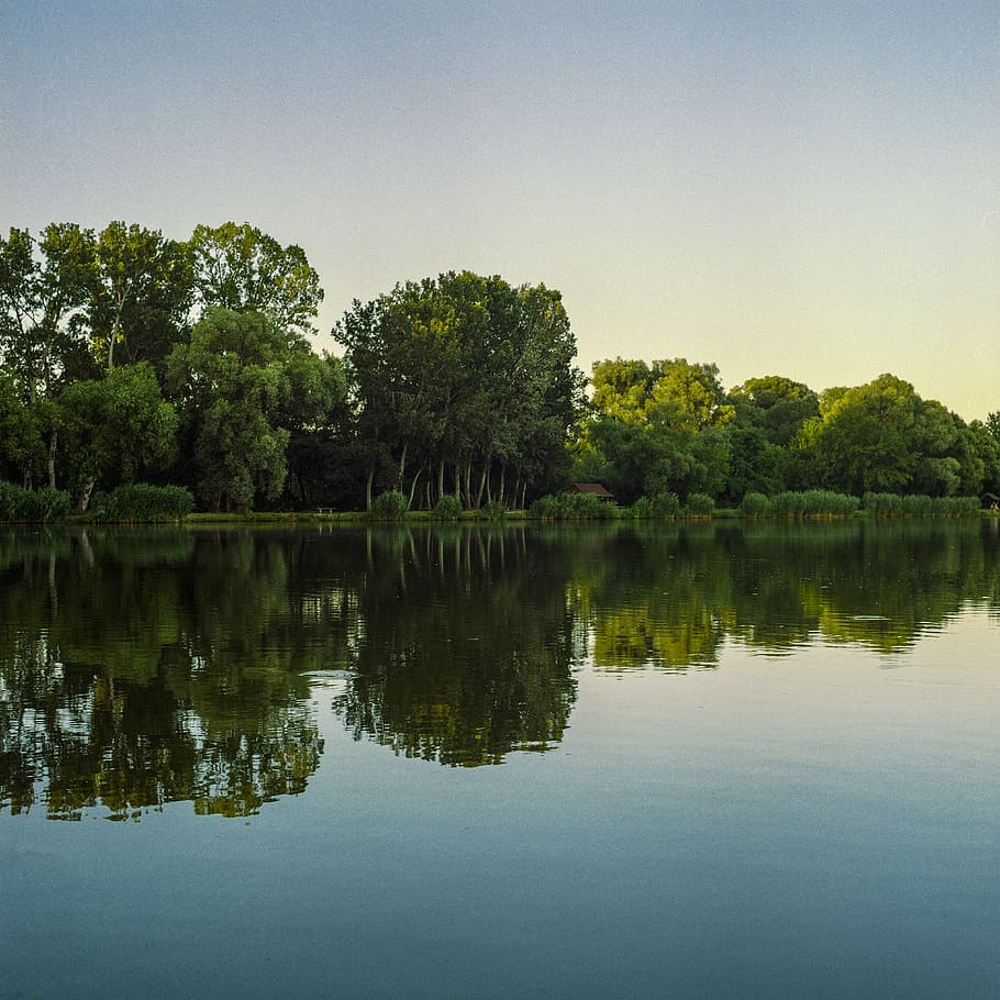 Lake, Reflection, Trees, Forest, Water, landscape, nature, sky HD wallpaper