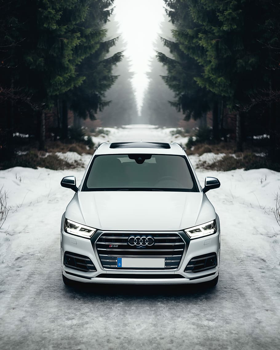white Audi A8 on the road surrounded of trees, silver Audi car on snowy road near pine trees HD wallpaper