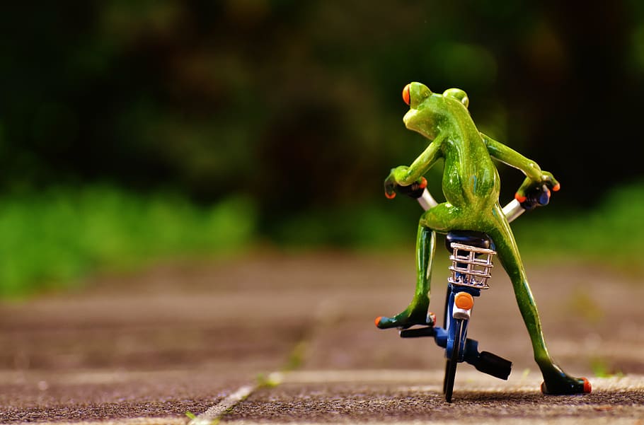 green frog on blue bicycle during daytime, bike, funny, cute