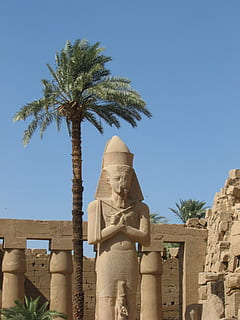 hieroglyphics, egypt, monument, column, luxor, karnak temple HD wallpaper