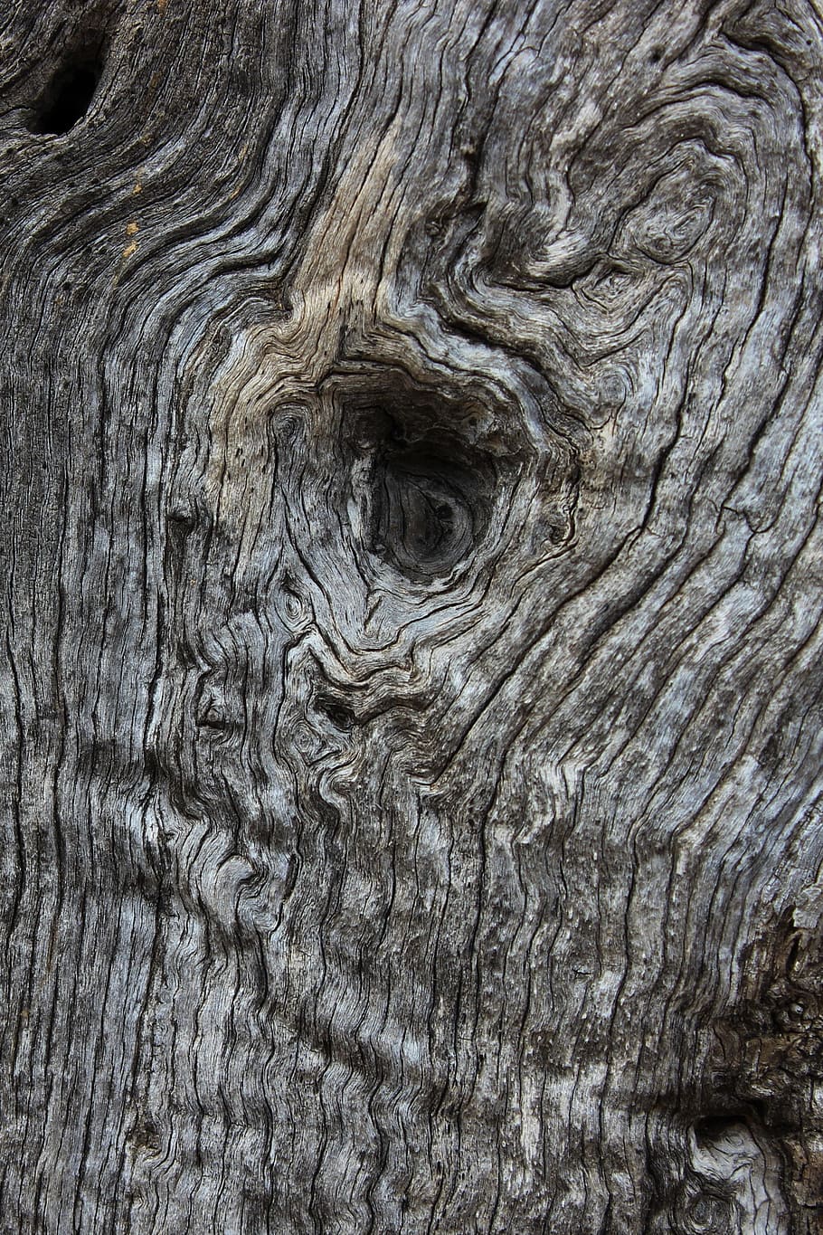 olive tree, wood, pattern, background, close, backgrounds, full frame HD wallpaper